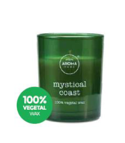 AROMA HOME 1626 MYSTICAL COAST WAX CANLDE 160G