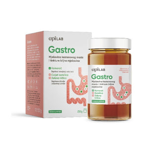 APILAB GASTRO HONEY AND HERBAL TINCTURE MIXTURE 250G