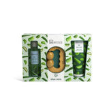 IDC INSTITUTE 42166 ALOE VERA MASSAGE GIFT SET