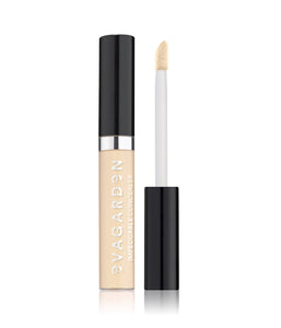 EVAGARDEN IMPECCABLE CONCEALER 322