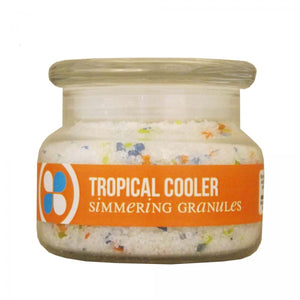 REGENT TROPICAL COOLER DELUXE SIMMERING GRANULES 400G