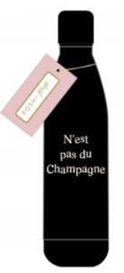 TRI-COASTAL 30134T-30370 N'EST PAS DU CHAMPAGNE INSULATED STEEL BOTTLE