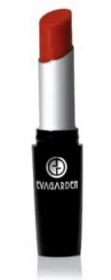 EVAGARDEN DESIRE LIPSTICK STYLO 568