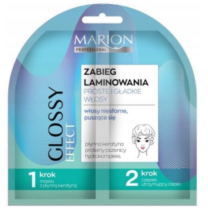 MARION 828 FINAL CONTROL HAIR LAMINATION MASK