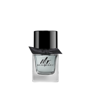 BURBERRY MR BURBERRY EAU DE TOILETTE 50ML