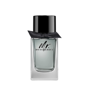 BURBERRY MR BURBERRY EAU DE TOILETTE 100ML