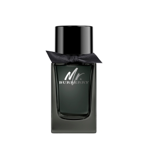 BURBERRY MR BURBERRY EAU DE PARFUM 100ML