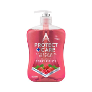 ASTONISH PROTECT + CARE ANTI-BACTERIAL HANDWASH BERRY FIELDS 650ML