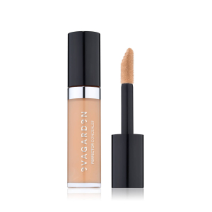 EVA GARDEN PERFECTOR CONCEALER 332