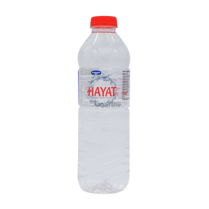 HAYAT NATURAL WATER 500ML