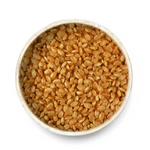 GOOD EARTH SHORT GRAIN BROWN RICE 500G