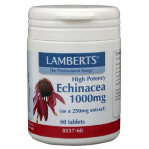 LAMBERTS ECHINACEA