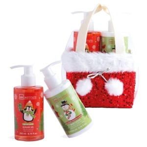 IDC INSTITUTE 90375 CHRISTMAS CARE BASKET
